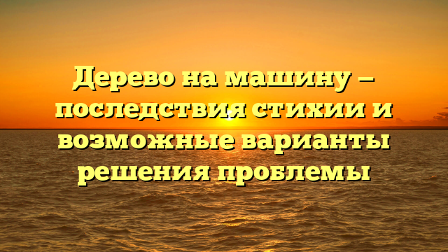 Дерево на машину — последствия стихии и возможные варианты решения проблемы