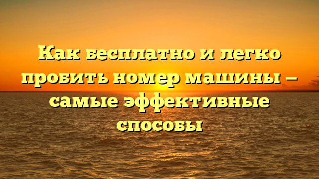 Как бесплатно и легко пробить номер машины — самые эффективные способы