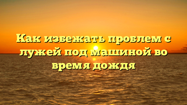 Как избежать проблем с лужей под машиной во время дождя