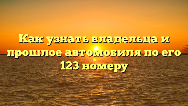 Как узнать владельца и прошлое автомобиля по его 123 номеру