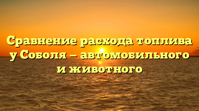 Сравнение расхода топлива у Соболя — автомобильного и животного