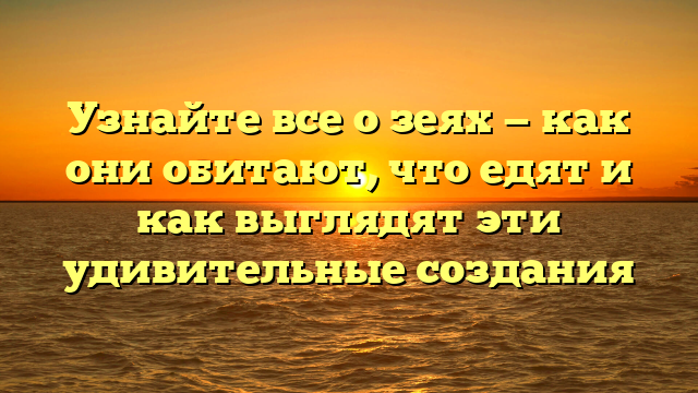 Узнайте все о зеях — как они обитают, что едят и как выглядят эти удивительные создания